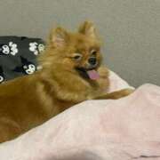 ヒメ日記 2025/08/20 23:30 投稿 あずさ☆超あたり！大当たり！！ JKサークル