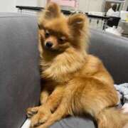 ヒメ日記 2025/08/21 20:01 投稿 あずさ☆超あたり！大当たり！！ JKサークル