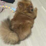 ヒメ日記 2025/08/29 22:01 投稿 あずさ☆超あたり！大当たり！！ JKサークル