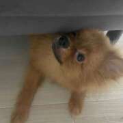 ヒメ日記 2025/09/08 20:01 投稿 あずさ☆超あたり！大当たり！！ JKサークル