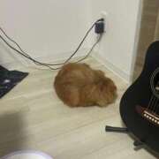 ヒメ日記 2025/09/10 20:35 投稿 あずさ☆超あたり！大当たり！！ JKサークル