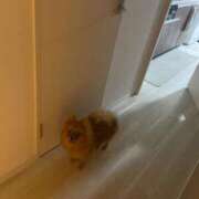 ヒメ日記 2025/09/14 00:51 投稿 あずさ☆超あたり！大当たり！！ JKサークル