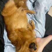 ヒメ日記 2025/09/17 23:45 投稿 あずさ☆超あたり！大当たり！！ JKサークル