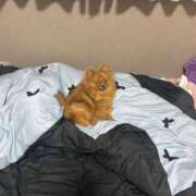 ヒメ日記 2025/09/20 01:29 投稿 あずさ☆超あたり！大当たり！！ JKサークル