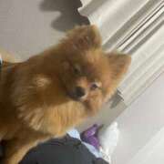 ヒメ日記 2025/09/30 20:02 投稿 あずさ☆超あたり！大当たり！！ JKサークル