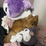 ヒメ日記 2025/10/01 21:30 投稿 あずさ☆超あたり！大当たり！！ JKサークル