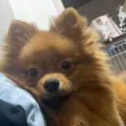 ヒメ日記 2025/10/02 20:01 投稿 あずさ☆超あたり！大当たり！！ JKサークル