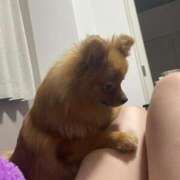 ヒメ日記 2025/10/03 01:42 投稿 あずさ☆超あたり！大当たり！！ JKサークル