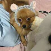 ヒメ日記 2025/10/04 20:02 投稿 あずさ☆超あたり！大当たり！！ JKサークル