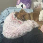 ヒメ日記 2025/10/06 09:01 投稿 あずさ☆超あたり！大当たり！！ JKサークル