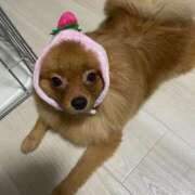 ヒメ日記 2025/10/09 02:00 投稿 あずさ☆超あたり！大当たり！！ JKサークル