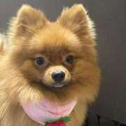 ヒメ日記 2025/10/09 20:02 投稿 あずさ☆超あたり！大当たり！！ JKサークル