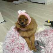 ヒメ日記 2025/10/13 07:01 投稿 あずさ☆超あたり！大当たり！！ JKサークル