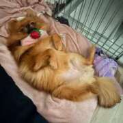 ヒメ日記 2025/10/17 22:30 投稿 あずさ☆超あたり！大当たり！！ JKサークル