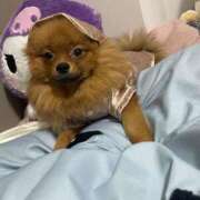 ヒメ日記 2025/10/19 19:01 投稿 あずさ☆超あたり！大当たり！！ JKサークル