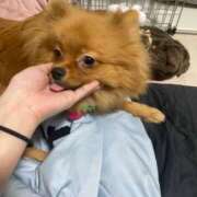 ヒメ日記 2025/10/20 20:31 投稿 あずさ☆超あたり！大当たり！！ JKサークル