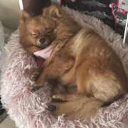 ヒメ日記 2025/10/25 23:00 投稿 あずさ☆超あたり！大当たり！！ JKサークル