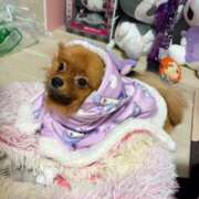 ヒメ日記 2025/10/26 05:55 投稿 あずさ☆超あたり！大当たり！！ JKサークル