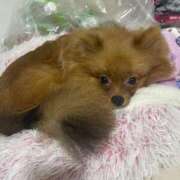 ヒメ日記 2025/10/27 04:00 投稿 あずさ☆超あたり！大当たり！！ JKサークル