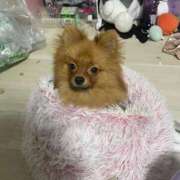 ヒメ日記 2025/11/01 12:02 投稿 あずさ☆超あたり！大当たり！！ JKサークル