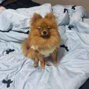 ヒメ日記 2025/11/06 04:30 投稿 あずさ☆超あたり！大当たり！！ JKサークル