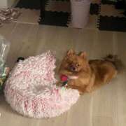 ヒメ日記 2025/11/06 21:01 投稿 あずさ☆超あたり！大当たり！！ JKサークル