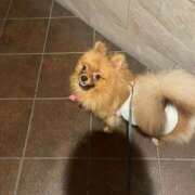 ヒメ日記 2025/11/10 23:46 投稿 あずさ☆超あたり！大当たり！！ JKサークル