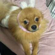 ヒメ日記 2025/11/14 20:02 投稿 あずさ☆超あたり！大当たり！！ JKサークル