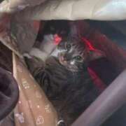 ヒメ日記 2025/11/18 20:02 投稿 あずさ☆超あたり！大当たり！！ JKサークル