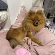 ヒメ日記 2025/11/19 16:00 投稿 あずさ☆超あたり！大当たり！！ JKサークル