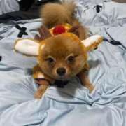 ヒメ日記 2025/11/20 19:03 投稿 あずさ☆超あたり！大当たり！！ JKサークル