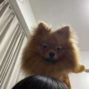 ヒメ日記 2025/11/21 05:00 投稿 あずさ☆超あたり！大当たり！！ JKサークル