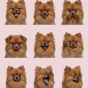 ヒメ日記 2025/11/24 01:10 投稿 あずさ☆超あたり！大当たり！！ JKサークル