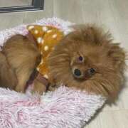 ヒメ日記 2025/11/24 23:01 投稿 あずさ☆超あたり！大当たり！！ JKサークル