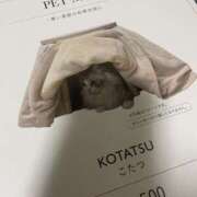 ヒメ日記 2025/11/26 16:27 投稿 あずさ☆超あたり！大当たり！！ JKサークル