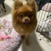 ヒメ日記 2025/11/26 18:56 投稿 あずさ☆超あたり！大当たり！！ JKサークル