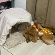 ヒメ日記 2025/11/27 22:30 投稿 あずさ☆超あたり！大当たり！！ JKサークル