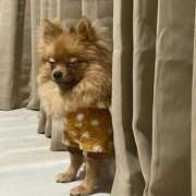 ヒメ日記 2025/12/11 22:30 投稿 あずさ☆超あたり！大当たり！！ JKサークル