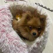 ヒメ日記 2025/12/13 21:30 投稿 あずさ☆超あたり！大当たり！！ JKサークル