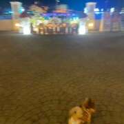 ヒメ日記 2025/12/18 00:50 投稿 あずさ☆超あたり！大当たり！！ JKサークル