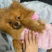 ヒメ日記 2025/12/18 22:02 投稿 あずさ☆超あたり！大当たり！！ JKサークル