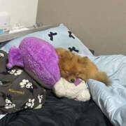 ヒメ日記 2025/12/22 04:00 投稿 あずさ☆超あたり！大当たり！！ JKサークル