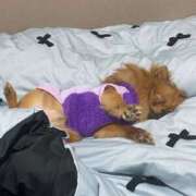 ヒメ日記 2025/12/23 22:02 投稿 あずさ☆超あたり！大当たり！！ JKサークル