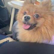 ヒメ日記 2025/12/29 19:22 投稿 あずさ☆超あたり！大当たり！！ JKサークル