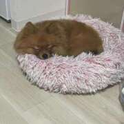 ヒメ日記 2026/01/08 19:01 投稿 あずさ☆超あたり！大当たり！！ JKサークル