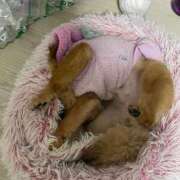 ヒメ日記 2026/01/10 22:01 投稿 あずさ☆超あたり！大当たり！！ JKサークル