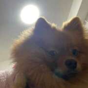 ヒメ日記 2026/01/16 22:01 投稿 あずさ☆超あたり！大当たり！！ JKサークル