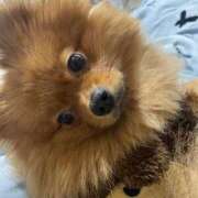 ヒメ日記 2026/01/18 02:15 投稿 あずさ☆超あたり！大当たり！！ JKサークル