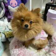 ヒメ日記 2026/01/23 19:02 投稿 あずさ☆超あたり！大当たり！！ JKサークル