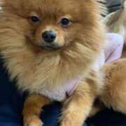 ヒメ日記 2026/01/25 22:28 投稿 あずさ☆超あたり！大当たり！！ JKサークル